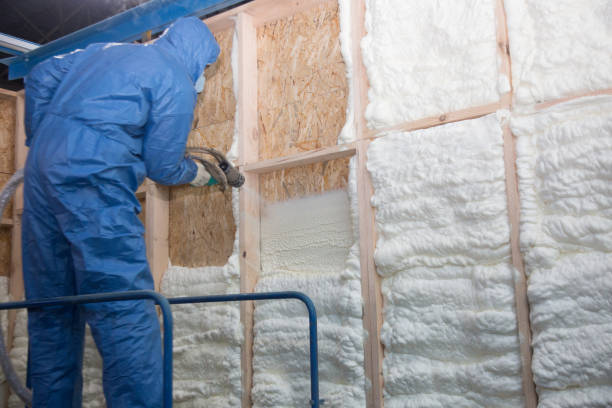 Best Radiant Barrier Insulation  in Fort Mill, SC